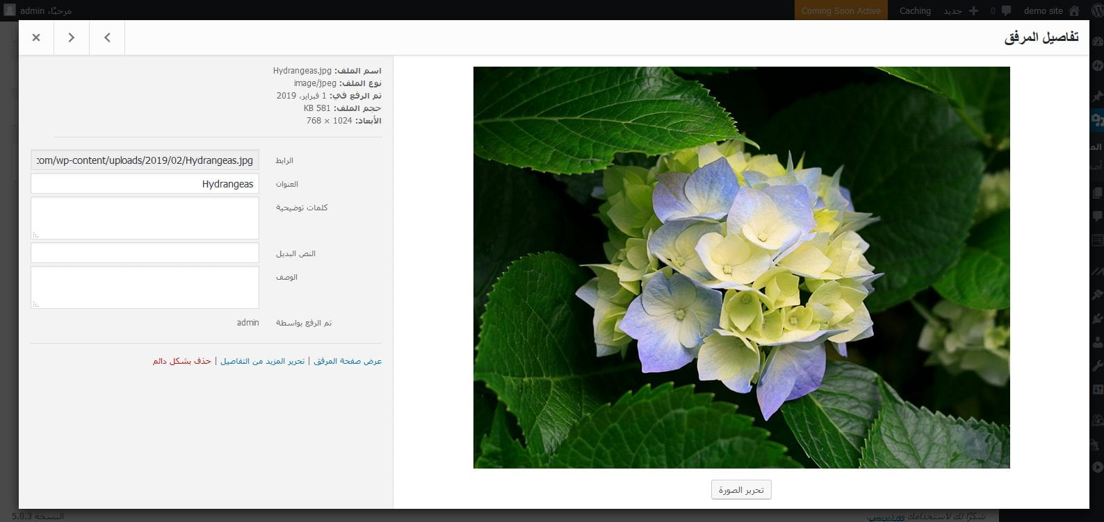 تحرير الصور في الووردبريس : تعديل الخصائص التعريفية لصورة