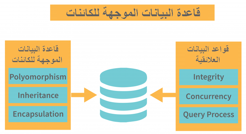 أنظمة إدارة قواعد البيانات: كل ما تحتاج معرفته