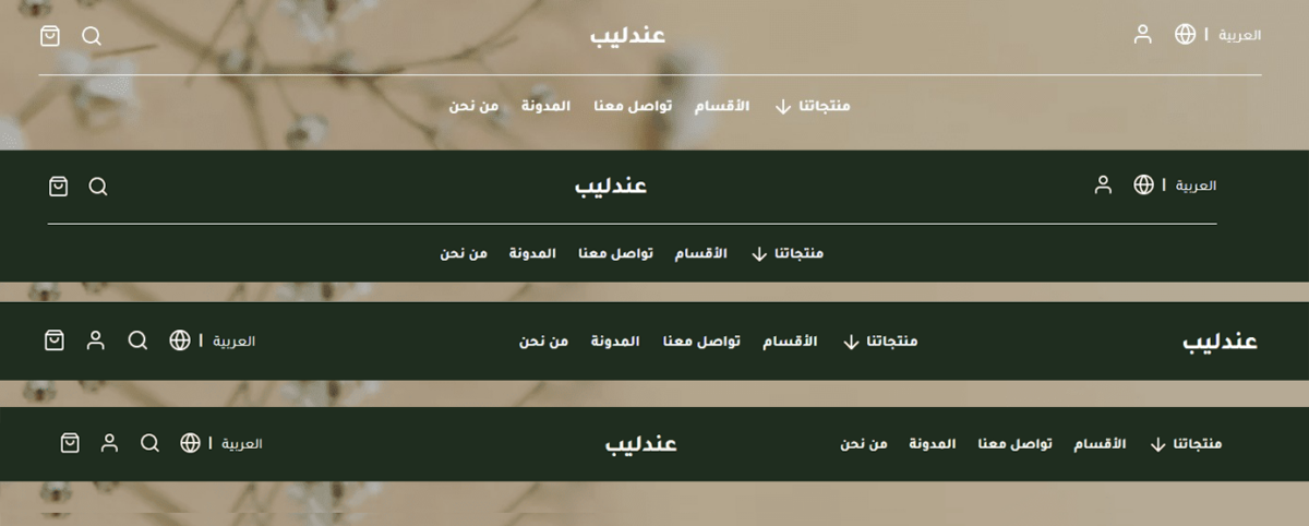  14- خيارات عرض هيدر قالب عندليب على شوبيفاي